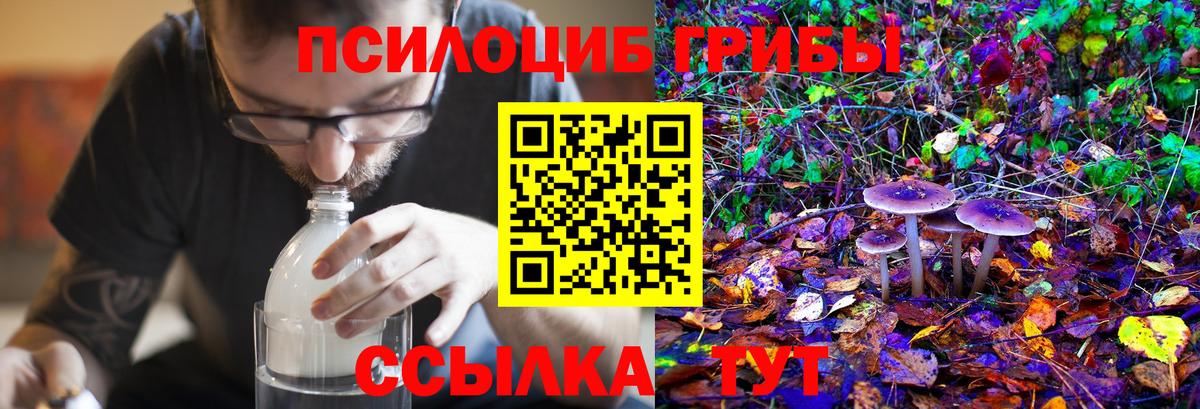 закладки  Вход с VPN  Псилоцибиновые грибы MAGIC MUSHROOMS  Ангарск  Галлюциногенные грибы Magic Shrooms 
