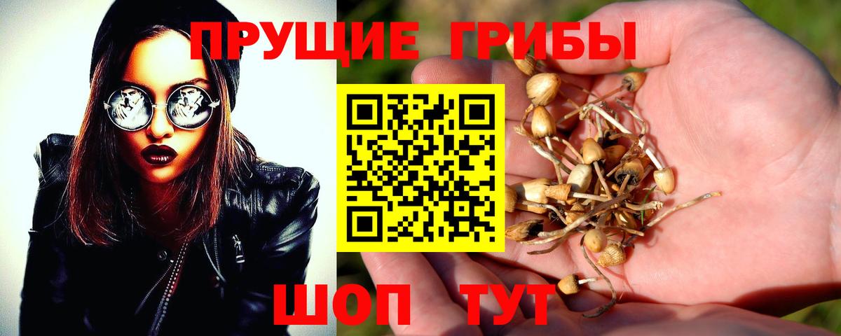 Галлюциногенные грибы GOLDEN TEACHER Ангарск