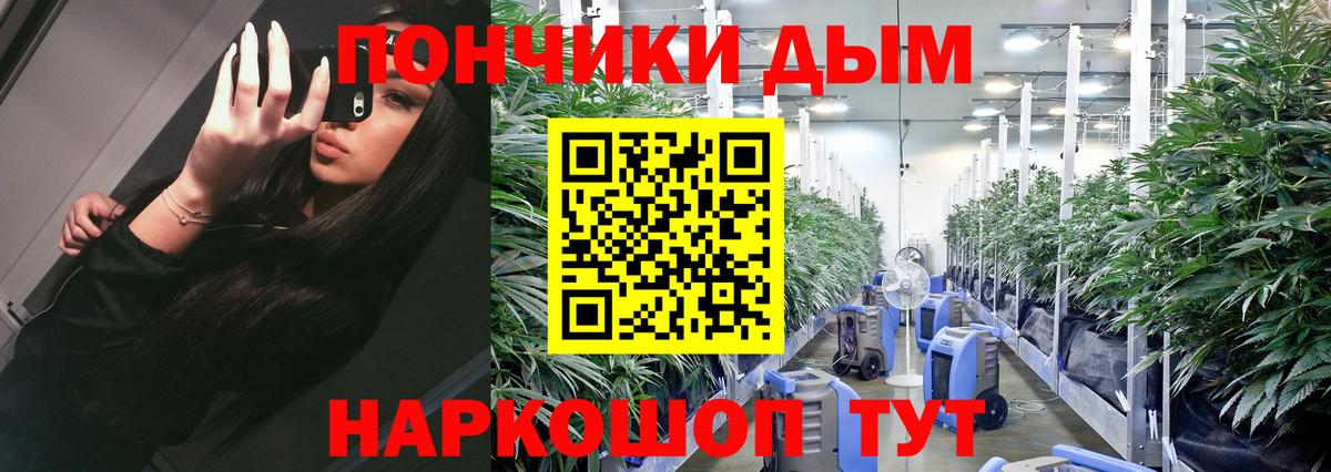 Канабис конопля  Вход с VPN  Бошки марихуана план  Марихуана White Widow  Конопля гибрид  Ангарск 